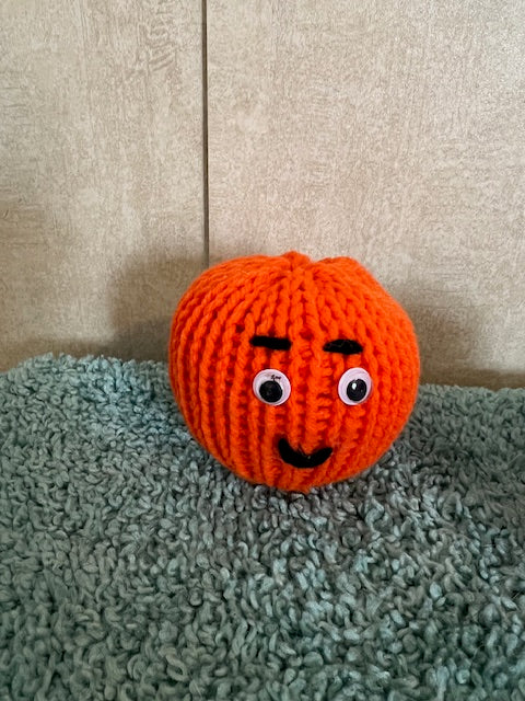 Meet Ollie the Support Orange – Ready for His Forever Home!